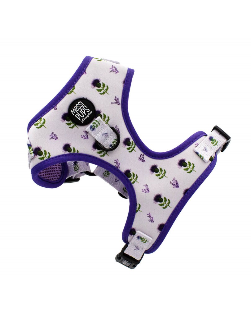 Thistle Do Nicely • Harness