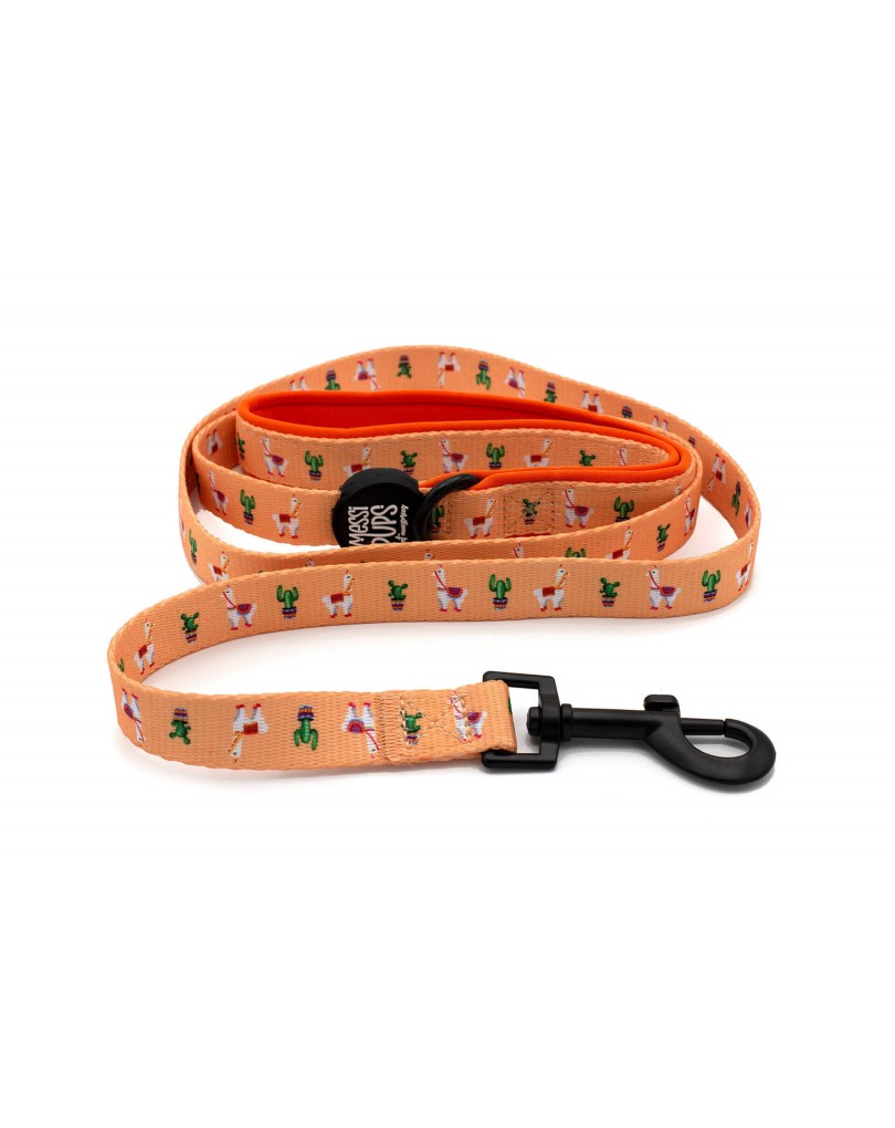 No Prob-Llama • Lead