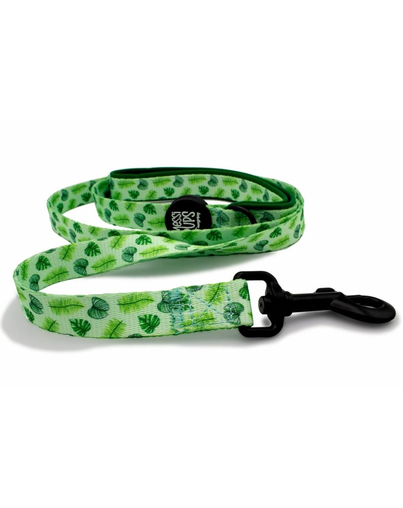 Leaf Me Alone • Lead