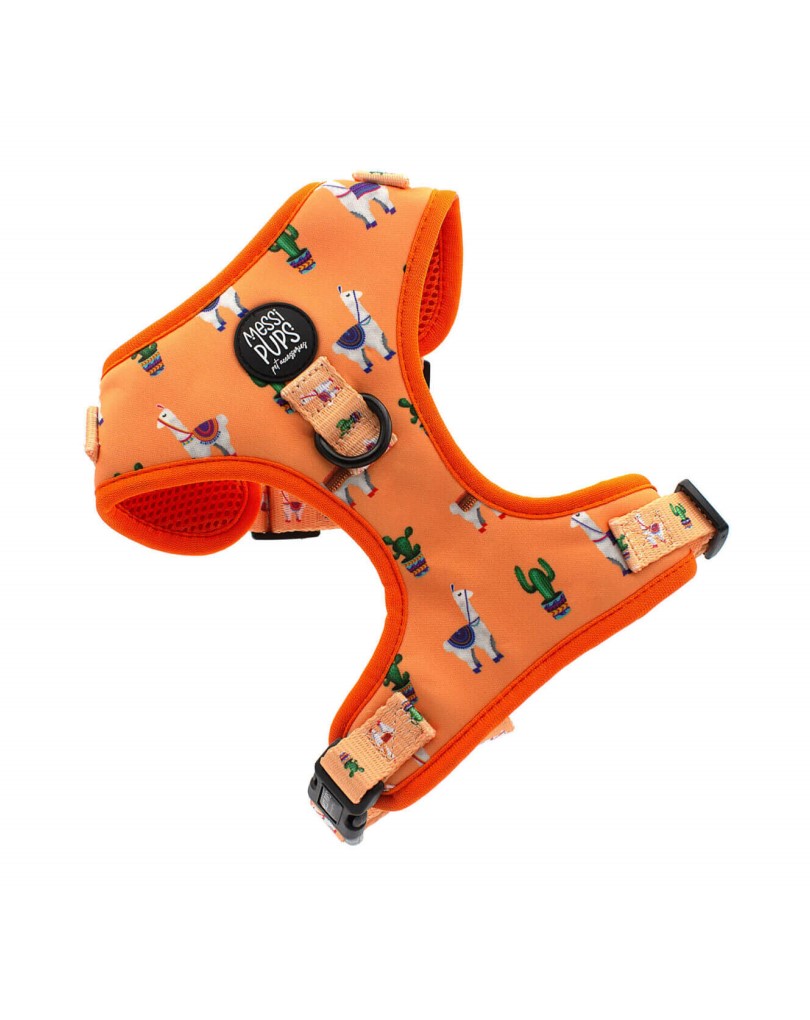 No Prob-Llama • Harness