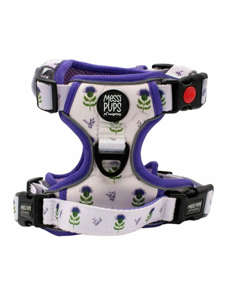 Thistle Do Nicely • Ruff ‘n Ready Harness