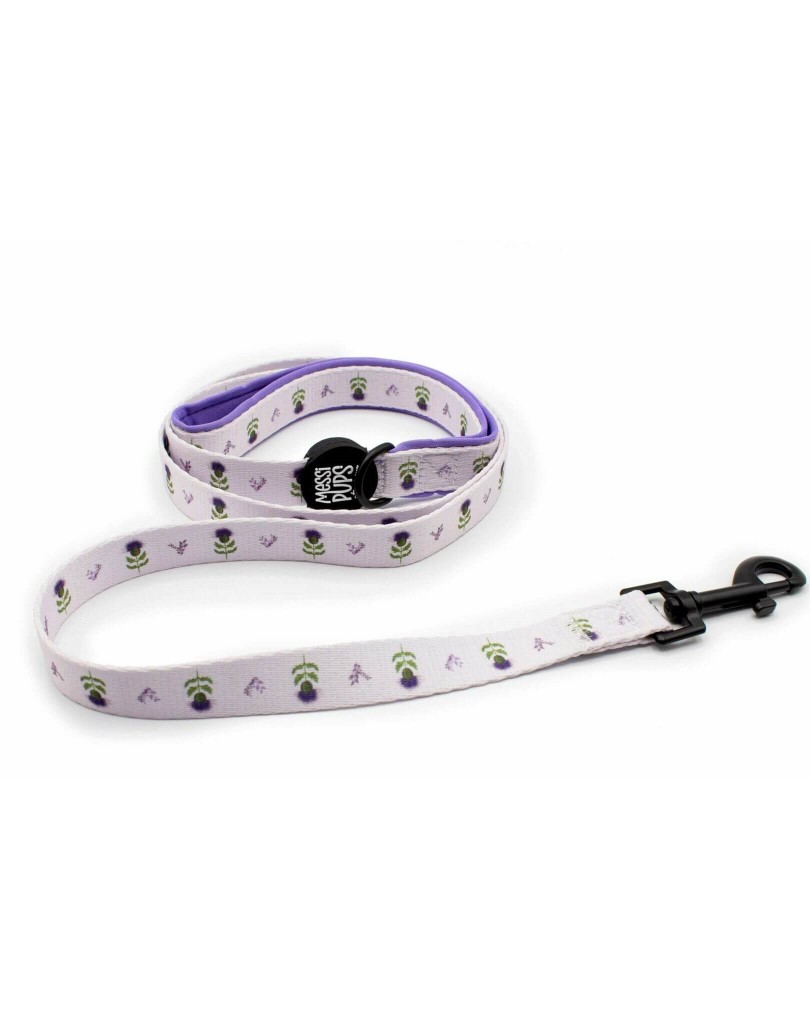 Thistle Do Nicely • Lead