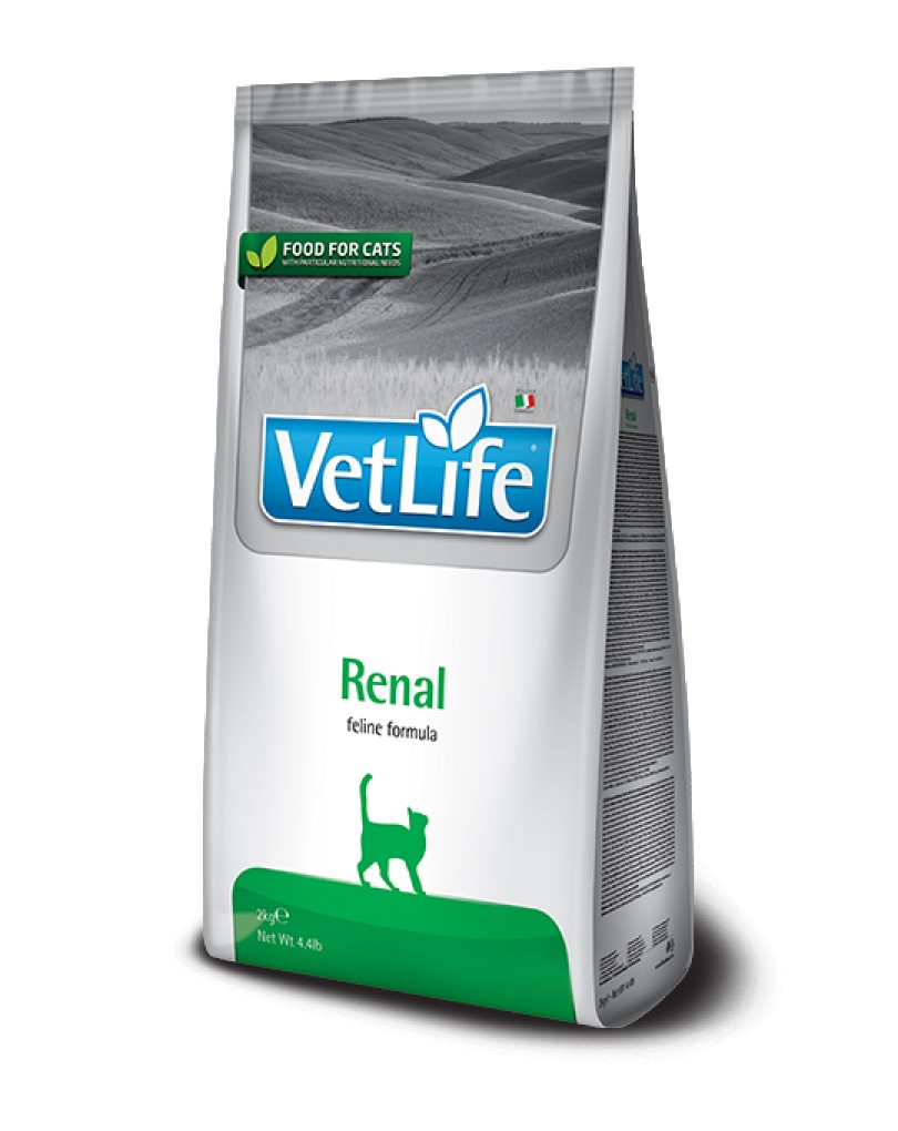 Cat Vet Life Feline Kidney 2Kg